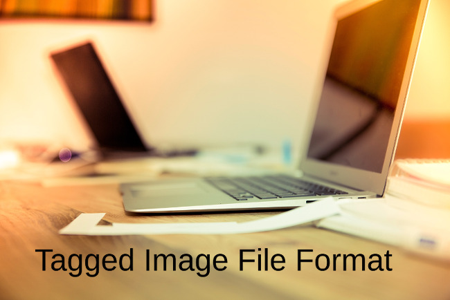 file_example_TIFF_1MB-Service File.jpg